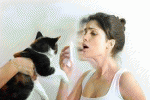 leggi tutto l'articolo Animali domestici ed allergie Animali domestici ed allergie