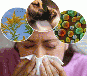 Nanotecnologia per diagnosticare 244 allergeni