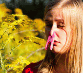 leggi tutto l'articolo Allergie, il ritorno delle stagionali Allergie, il ritorno delle stagionali