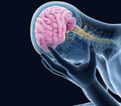 Bio-Distribuzione post infusione di staminali nella malattia di Alzheimer