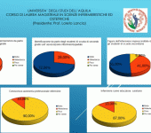 Indagine e promozione della professione infermieristica 