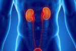 leggi tutto l'articolo Patologie che possono derivare dalla prostatite Patologie che possono derivare dalla prostatite