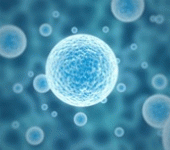 leggi tutto l'articolo Cellule staminali del cordone ombelicale: dove vengono conservate? Cellule staminali del cordone ombelicale: dove vengono conservate?