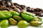 leggi tutto l'articolo Il caffè verde e le sue proprietà Il caffè verde e le sue proprietà
