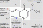 Distacco di retina associato a impiego corrente dei fluorochinoloni