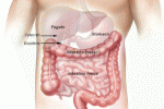 Alimentazione colon irritabile