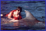 Delfinoterapia: nuotare con i delfini. E guarire
