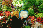 leggi tutto l'articolo Scopri i dimagranti naturali Scopri i dimagranti naturali