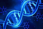 leggi tutto l'articolo Impatto nelle analisi della metilazione del DNA dei globuli rossi nucleati del sangue Impatto nelle analisi della metilazione del DNA dei globuli rossi nucleati del sangue