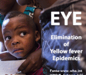 leggi tutto l'articolo Febbre gialla, aggiornamenti sull'epidemia in Brasile Febbre gialla, aggiornamenti sull'epidemia in Brasile