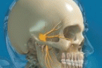 leggi tutto l'articolo Gnatologia Indagine neuromuscolare Gnatologia Indagine neuromuscolare