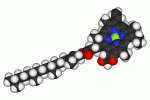 Effetti dei prodotti di degradazione del magnesio sul destino delle staminali mesenchimali