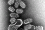 leggi tutto l'articolo Vaccinazione influenza, vera prevenzione Vaccinazione influenza, vera prevenzione
