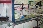 leggi tutto l'articolo Farmaco per l'epatite trova impiego per tumore al seno Farmaco per l'epatite trova impiego per tumore al seno