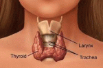 Malattie endocrine e voce