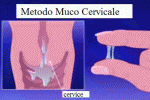 leggi tutto l'articolo Metodo di controllo Billings o del muco cervicale Metodo di controllo Billings o del muco cervicale