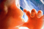 leggi tutto l'articolo Il trattamento termico innesca la migrazione e attecchimento delle CD34+ del cordone Il trattamento termico innesca la migrazione e attecchimento delle CD34+ del cordone