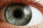 leggi tutto l'articolo Didisidratazione occhi a rischio anche la retina Didisidratazione occhi a rischio anche la retina