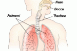 leggi tutto l'articolo Aumentano a 6,5% i decessi per patologie respiratorie Aumentano a 6,5% i decessi per patologie respiratorie