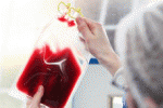 leggi tutto l'articolo Conoscere meglio questo tessuto; il sangue Conoscere meglio questo tessuto; il sangue