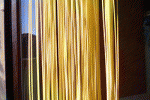 leggi tutto l'articolo Spaghetti anticancro Spaghetti anticancro