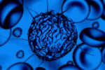 Somministrazione di Sirolimus post HSCT e valutazione dell'insorgenza di GvHD