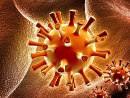 visione al microscopio elettronico di un virus all'interno del corpo