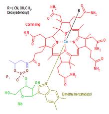 vitaminab12