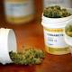 Droga: cannabis, primo ok Regione Puglia - euronews