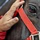 Movimento casa difende cavalli ippodromo - Brescia Oggi
