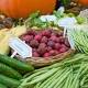 Nel carrello della spesa sempre meno frutta e verdura - MondialiBrasile.com