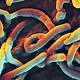 Ebola, possibile caso a Sacramento. I ricercatori confermano: «Il ... - Il Messaggero
