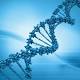 Nel nostro Dna presenti virus amici del cervello - Impronta Unika