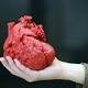 Con un cuore stampato in 3D salvato un bimbo di 14 mesi - ANSA.it