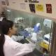 Ebola, farmaco sperimentale su scimmie: funziona 3 volte su 4 - TGCOM