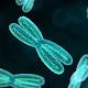 I telomeri: ecco il tallone d'Achille delle cellule tumorali - HealthDesk