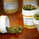 Cannabis terapeutica, in Toscana potrà essere prescritta dal medico ... - Altopascio.info