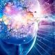 Il cervello umano ha una scatola nera come gli aerei - Fidelity News