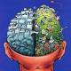 Il cervello cambia con le stagioni - ANSA.it