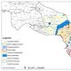 Xylella: commissario,al via sradicamento - ANSA.it