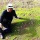 Al Bano sosterrà campagna informativa su Xylella - ANSA.it