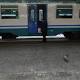 Rubati cavi, traffico treni rallentati - ANSA.it