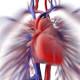 Avere uno scopo nella vita salva il cuore: rischio infarto ridotto del ... - TGCOM