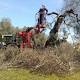 Emergenza Xylella, scatta l'inchiesta: Caccia ai colpevoli - La Repubblica
