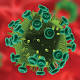 Aids: Cnr, ecco come virus Hiv si integra nel genoma umano - AGI - Agenzia Giornalistica Italia