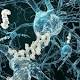 Alzheimer, ultrasuoni per ripristinare la memoria e ripulire il cervello - TGCOM