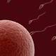 Allarme pesticidi in frutta e verdura: riducono la fertilità maschile - La Repubblica