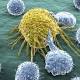 Individuato il punto debole del Tumore: Nuove terapie per combattere il Cancro - Contattolab