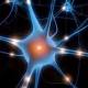 Alzheimer, per ripulire il cervello arriva una capsula con anticorpi - TGCOM