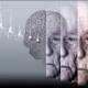 Salute: ecco il videogioco che scova l'Alzheimer - Meteo Web